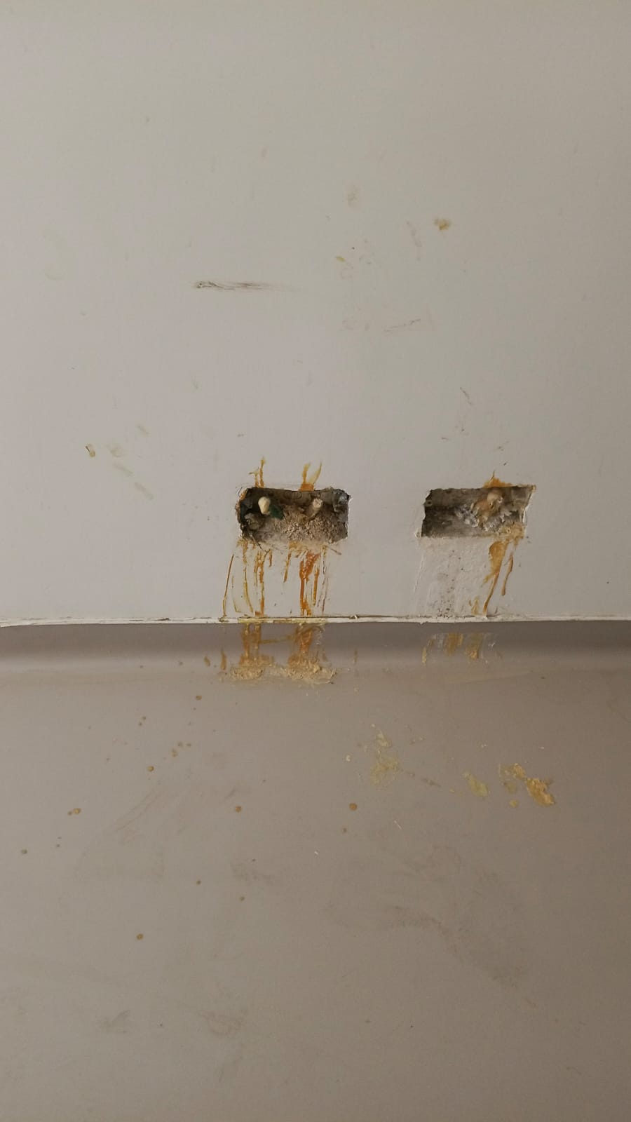 Photo 34